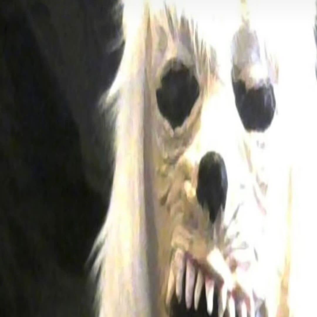 Faceit profile picture for @frighten