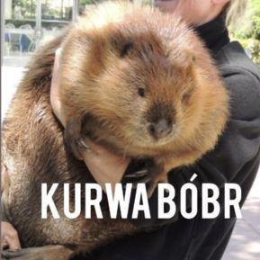 NB_BobrKurwa avatar