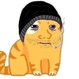d1skmfrt avatar