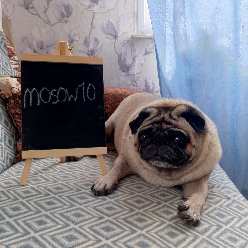 mosow10