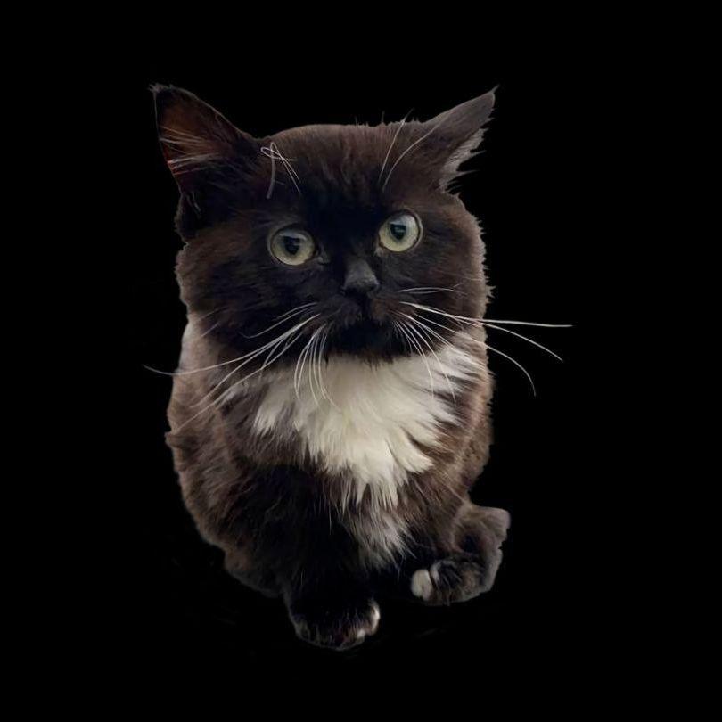mishkinstore avatar