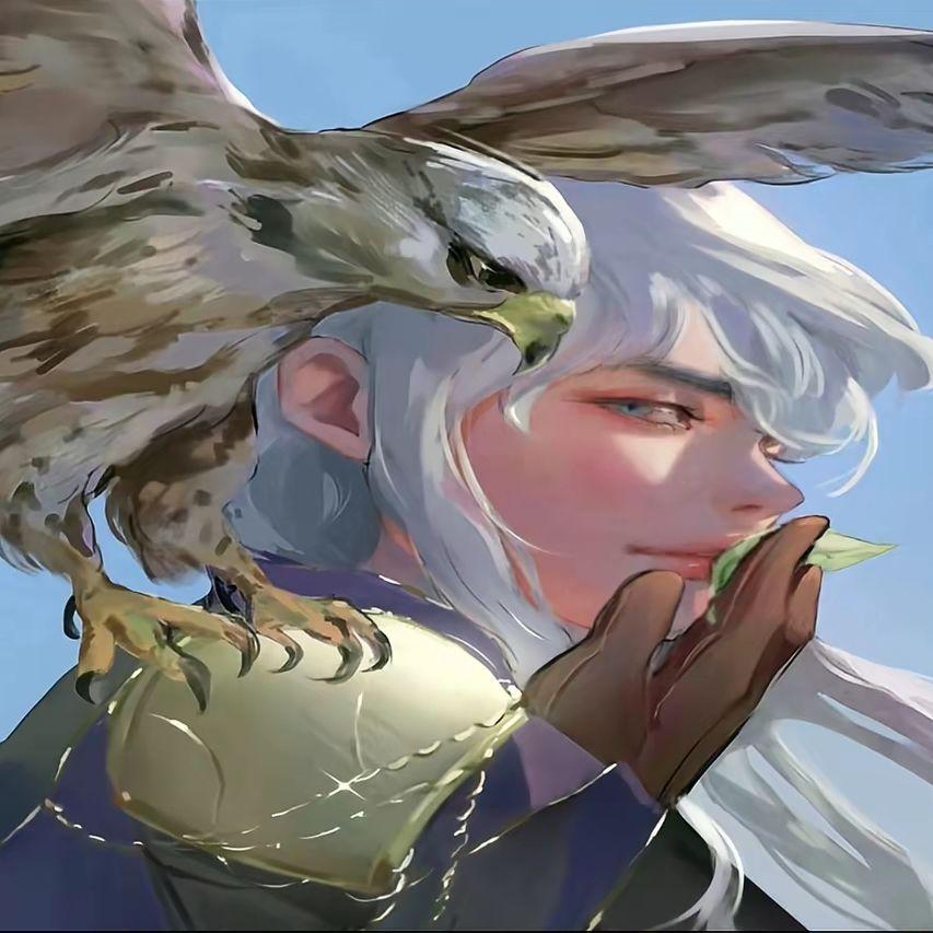 haqov avatar