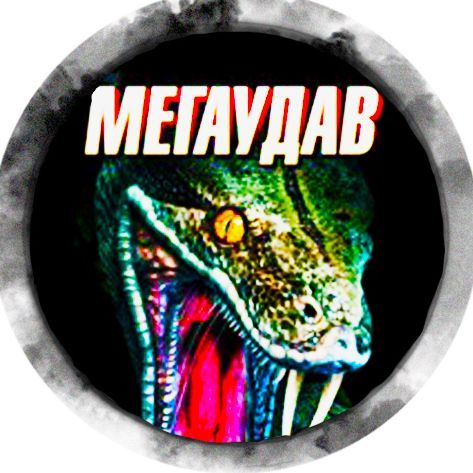 team_MEGA_YDAB