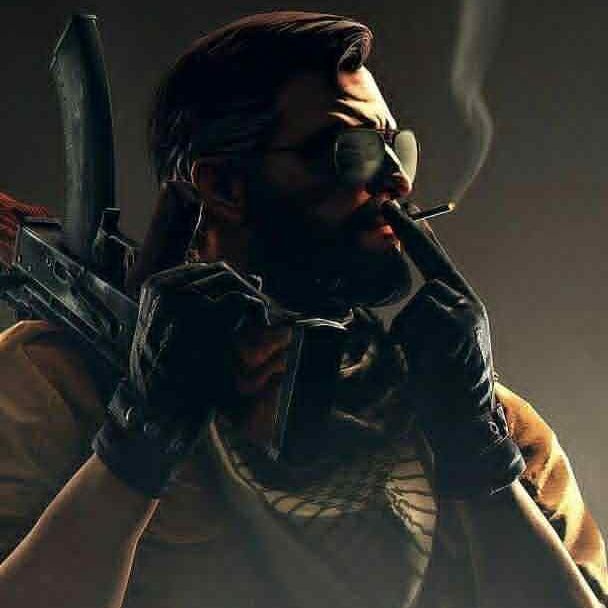 viiggor