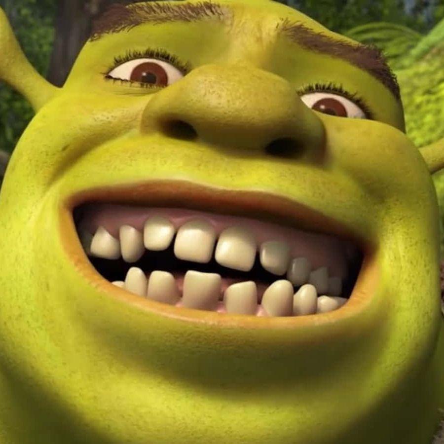 zinidasty avatar