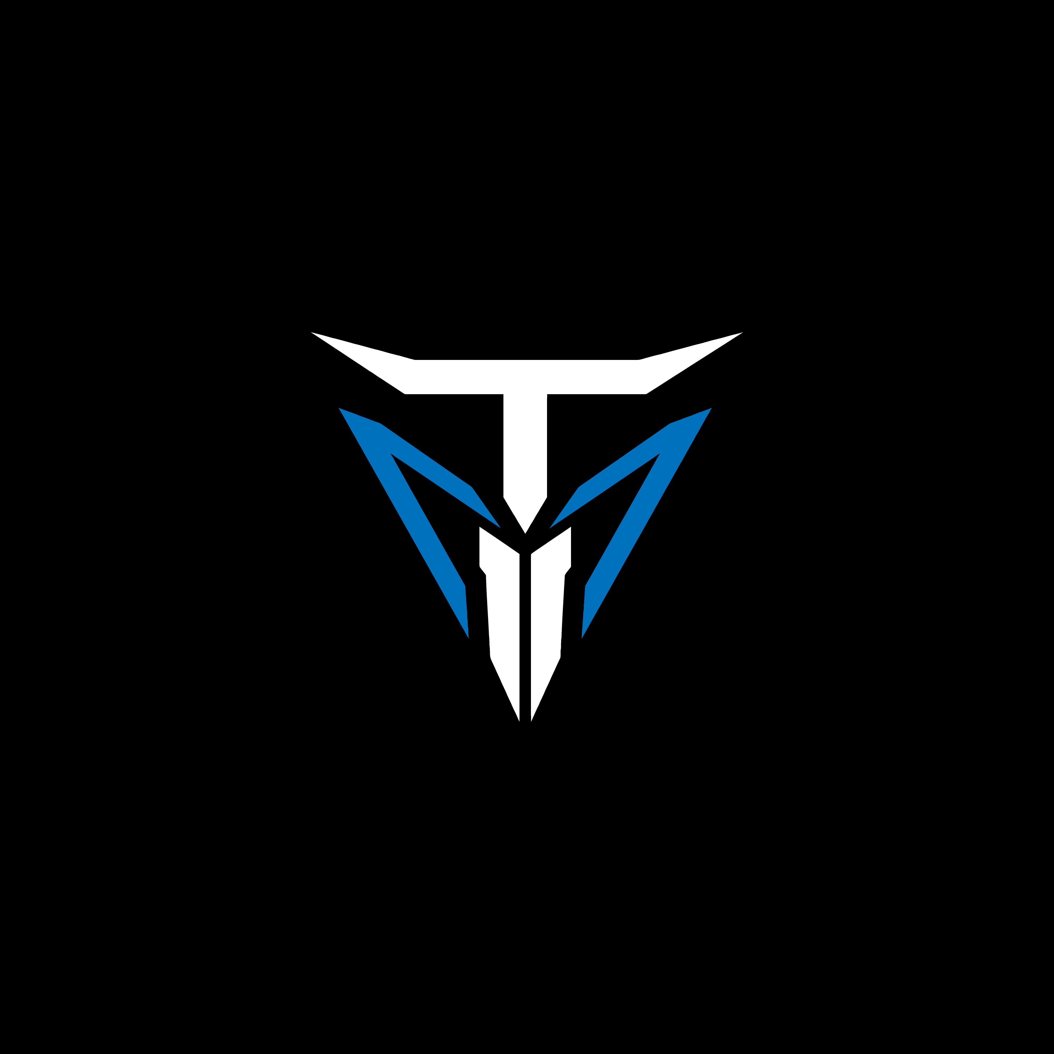 TEAM INTEMPORAL