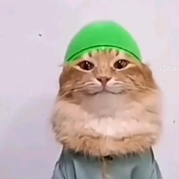 kumiz_MaiPow avatar