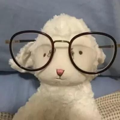Sheeper-