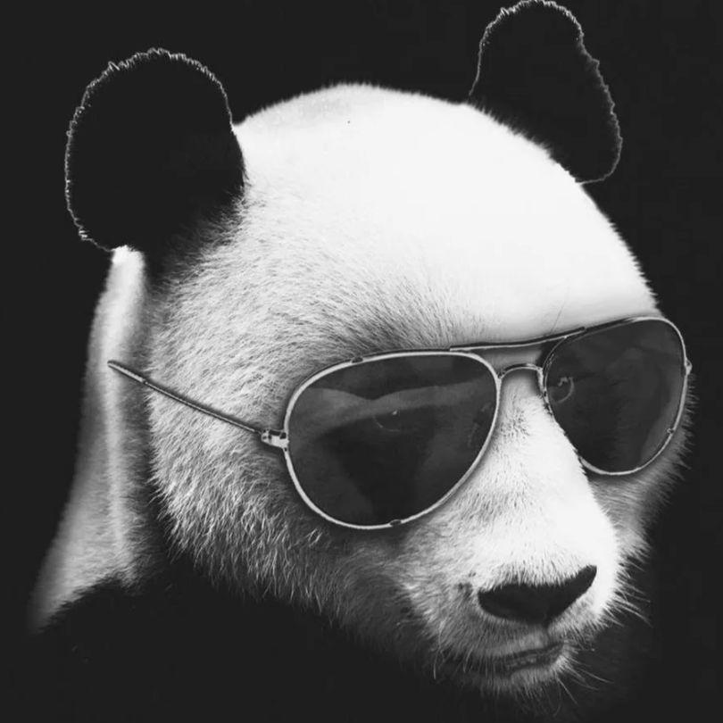 Hirosandaq avatar