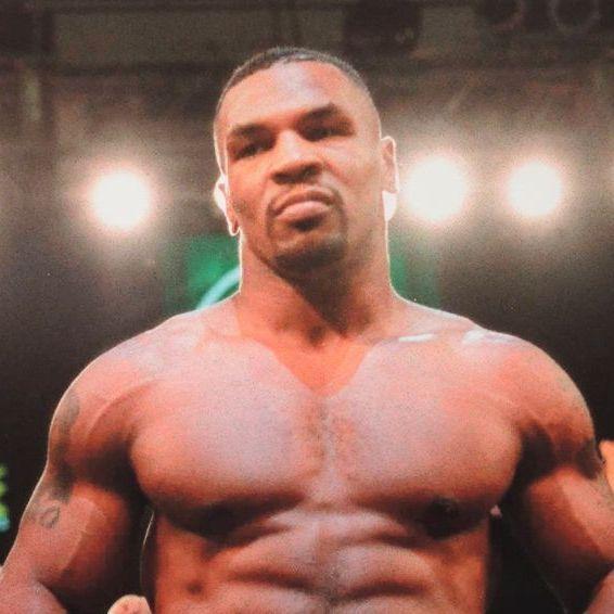 MikeTyson avatar