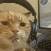 AlexARG1 FACEIT avatar