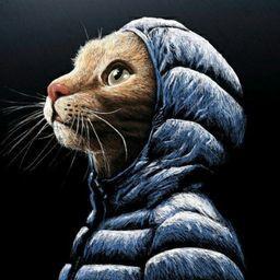 sinmiraja avatar