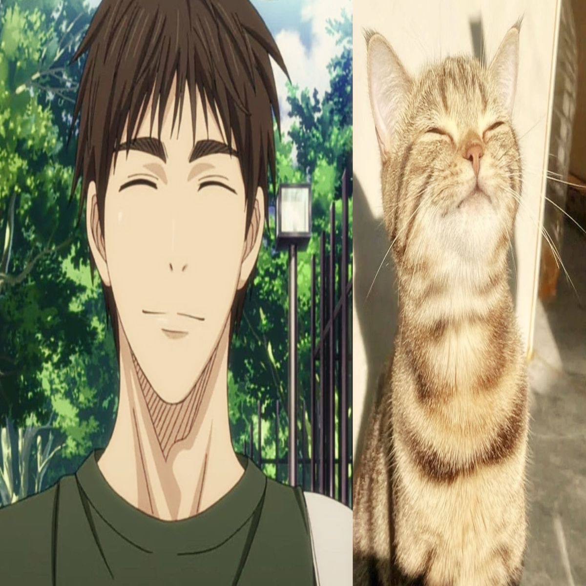 akumakq