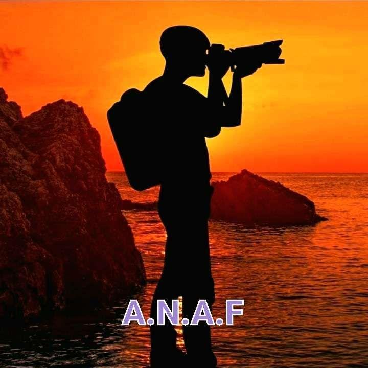 ANAF01 avatar