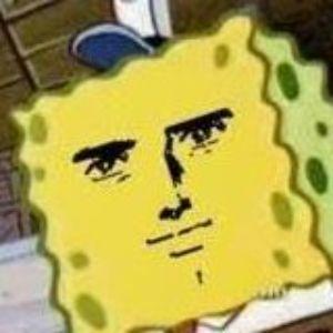 slowmogamer avatar