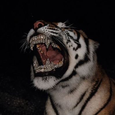 Tunaji