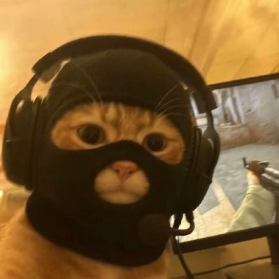 boodahman FACEIT avatar