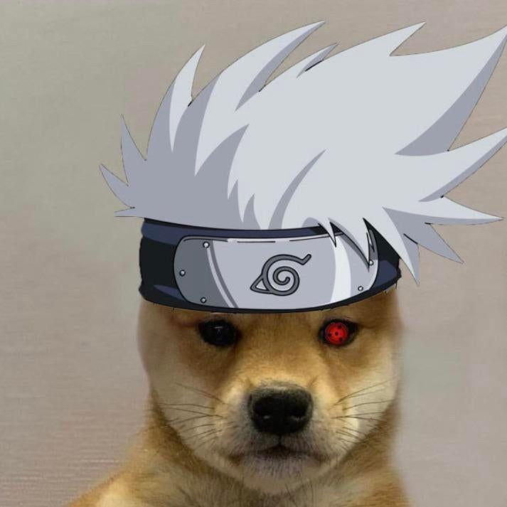 MalarioCS avatar