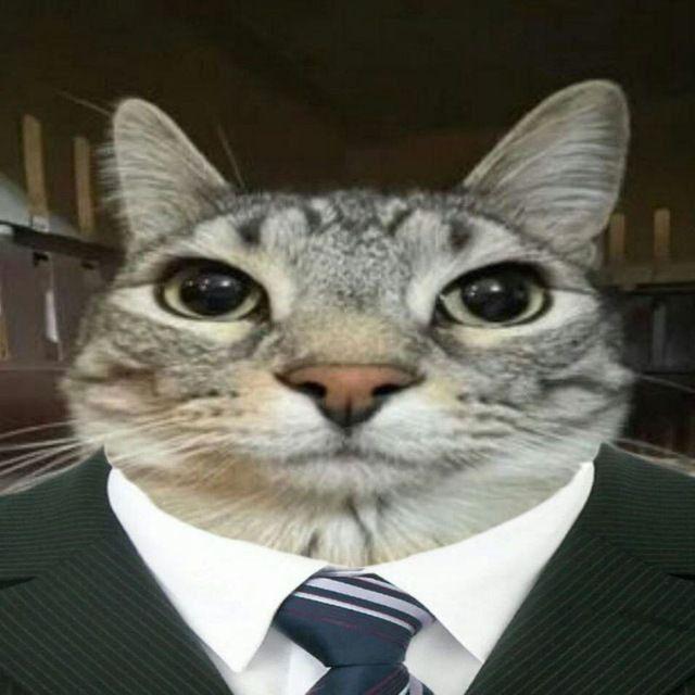 ShiminiaKi avatar
