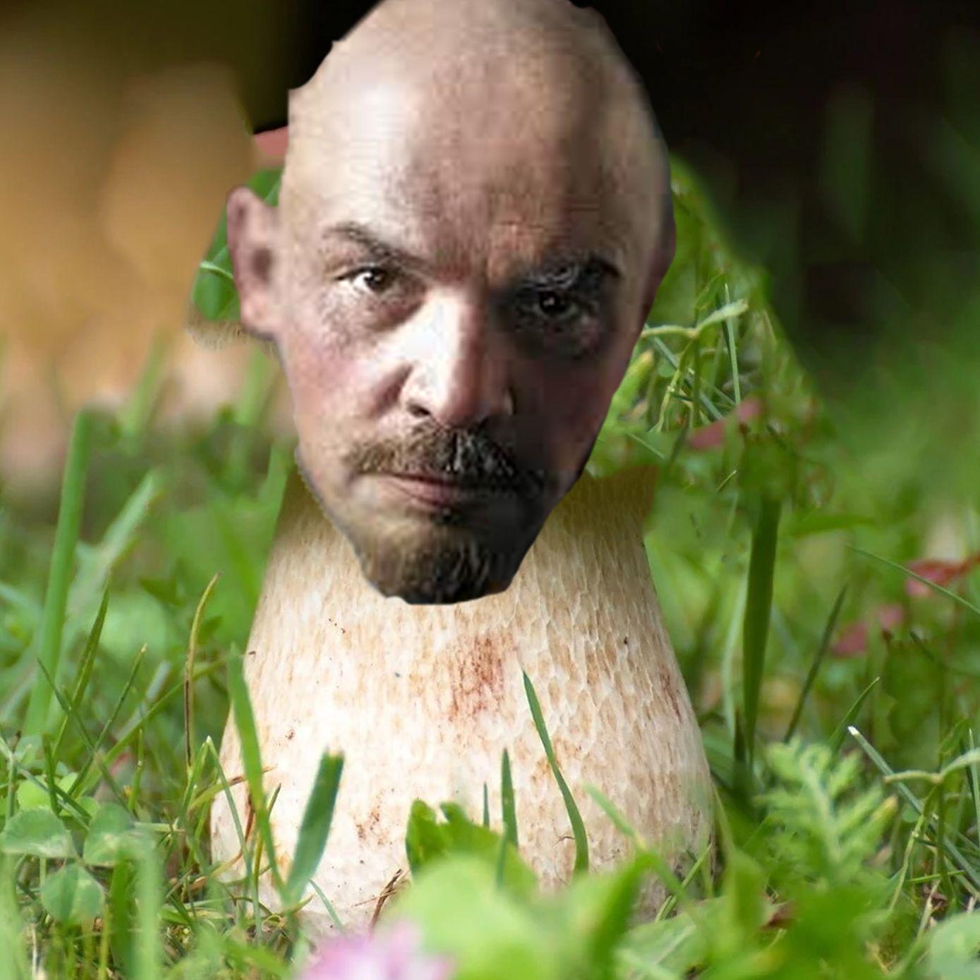 Acid181 avatar