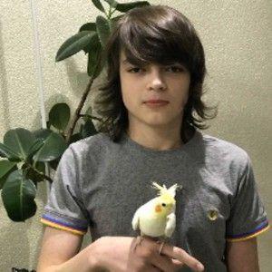 -seiza avatar