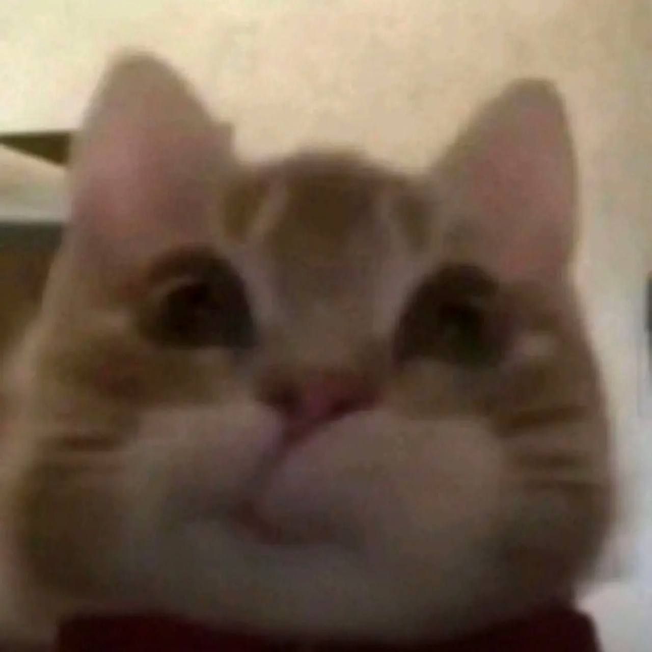 purururi
