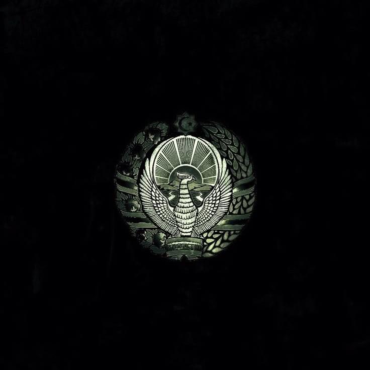 M_Rasulov avatar