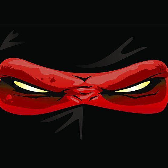 Player NinjaVigo1 avatar