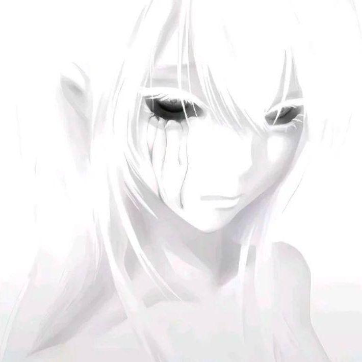 -euler- avatar
