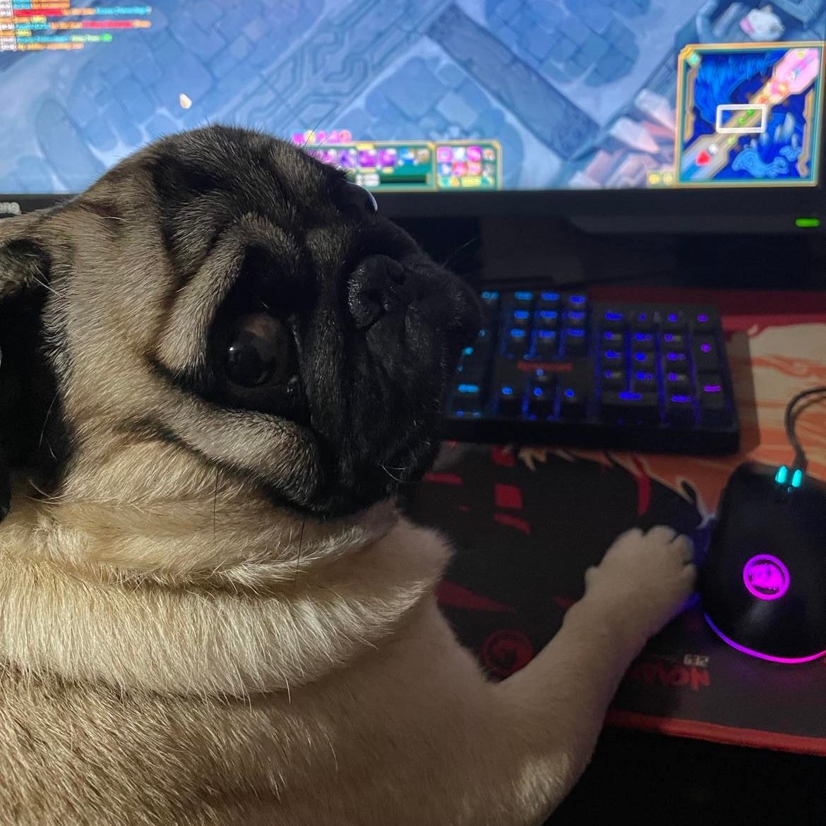 Kapag0d