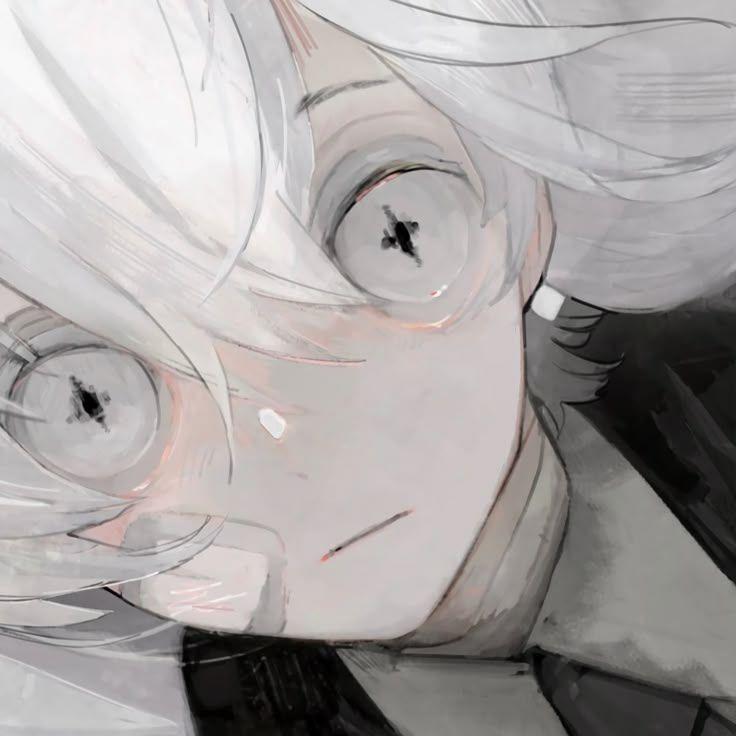 lector-- avatar