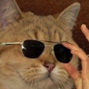 Gold_P avatar