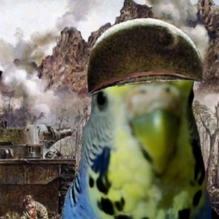 pelle777 FACEIT avatar