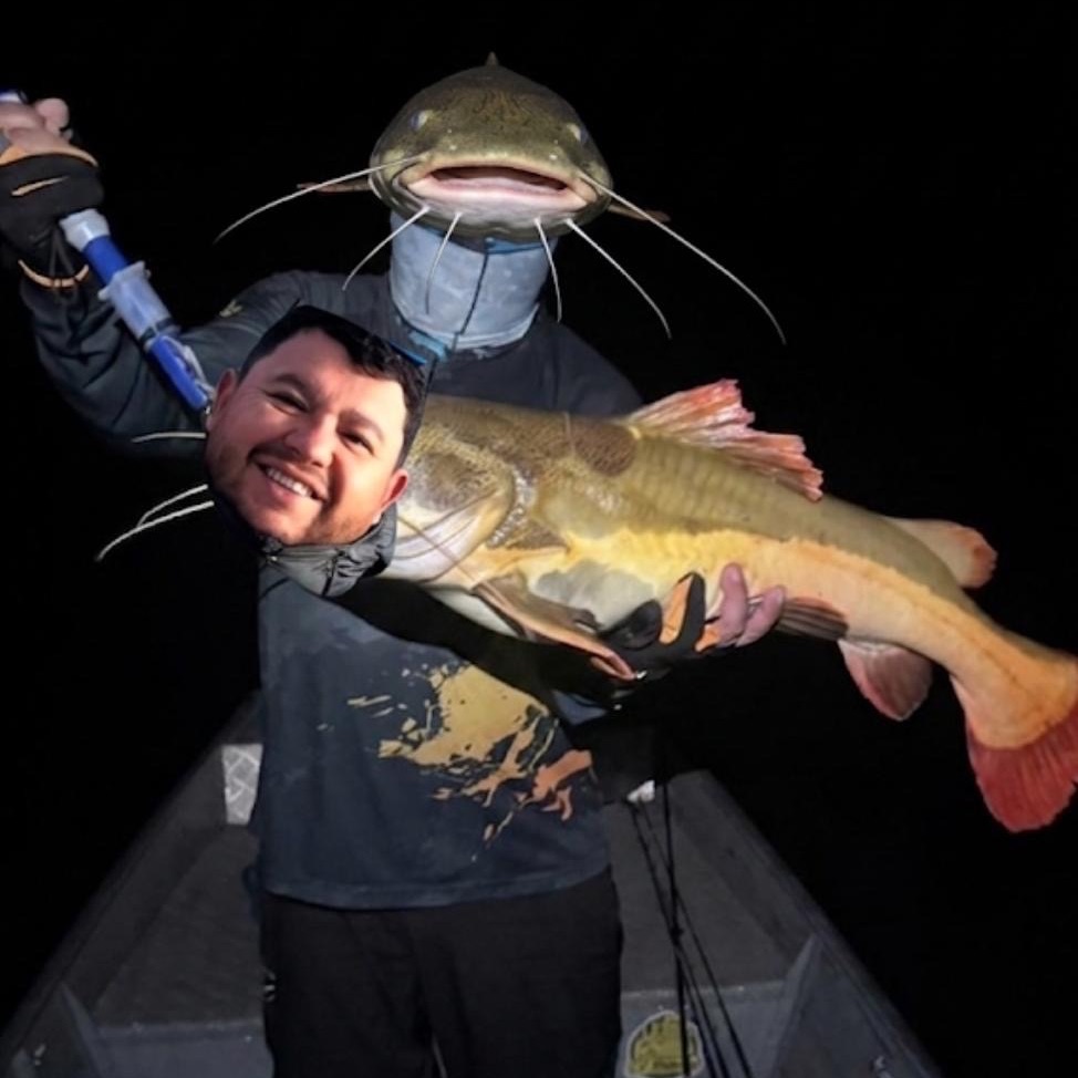 Darezeraa