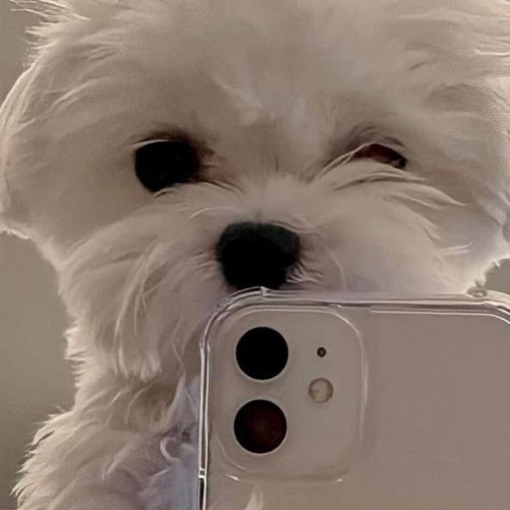 dezzzray