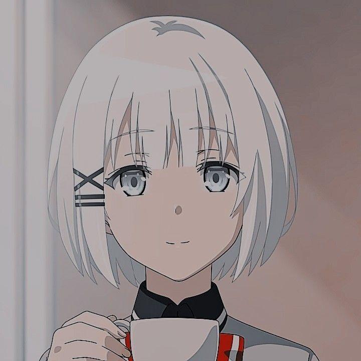 infernuss1 avatar