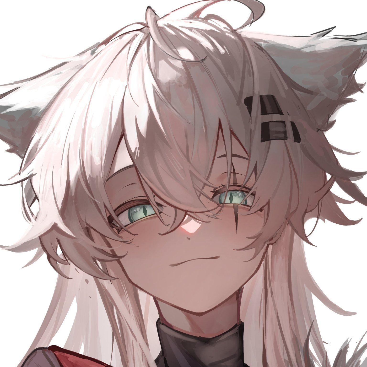 hibikii-