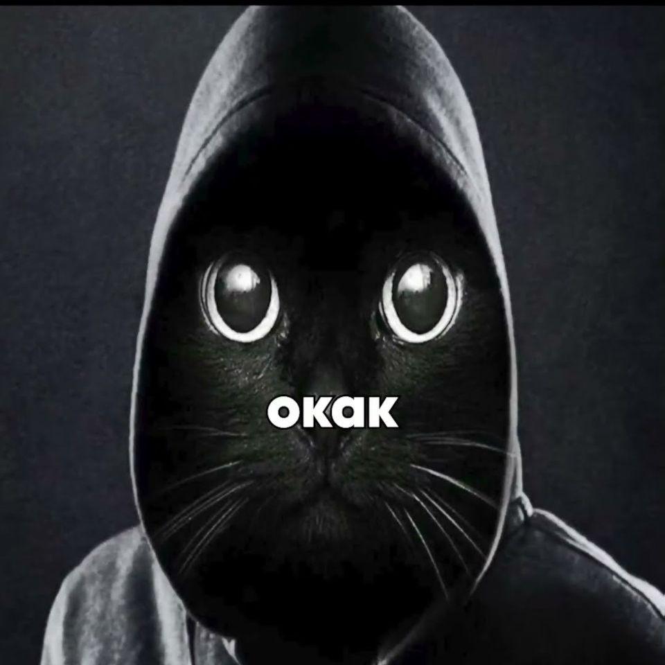 DaRkSwon avatar
