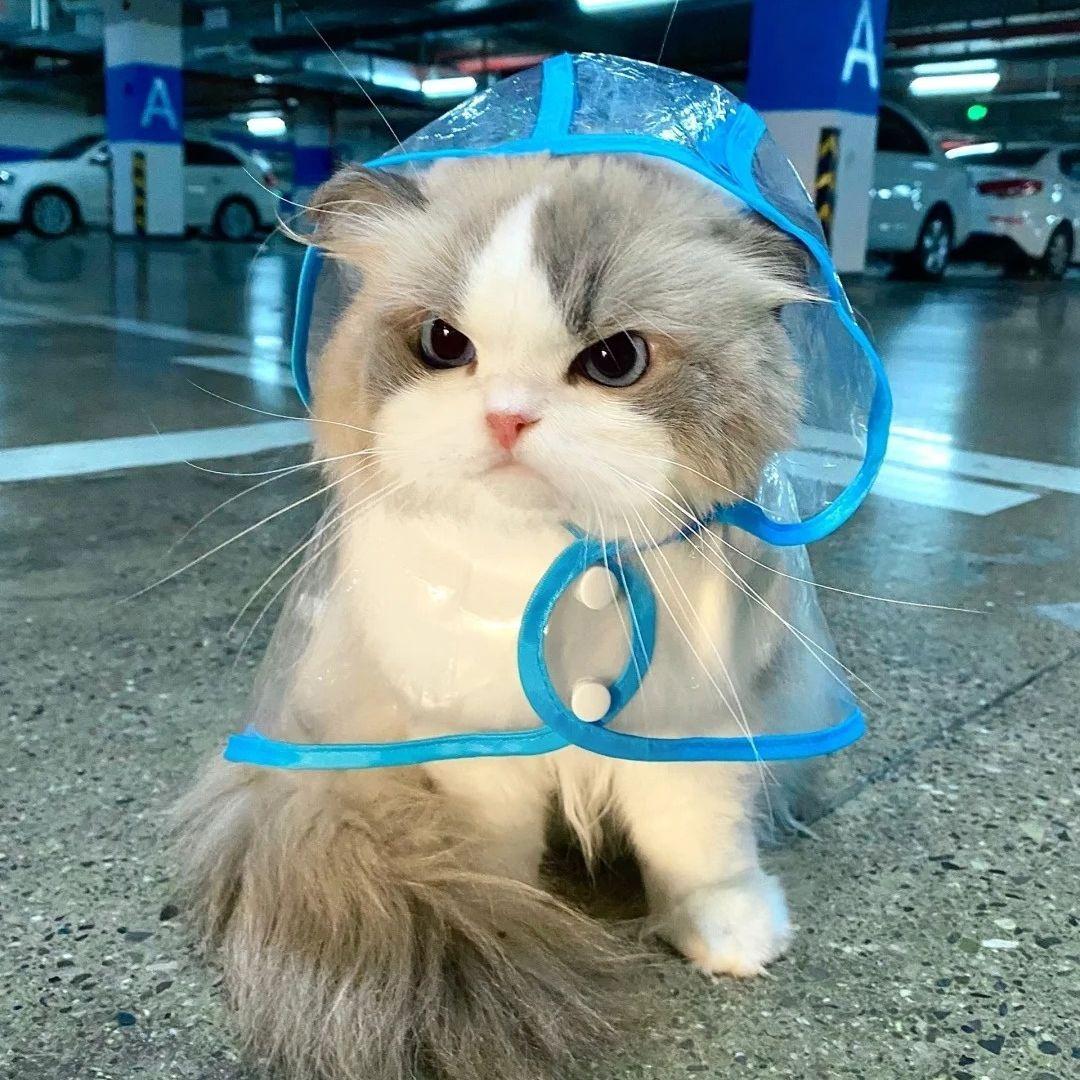 NotAJunkieZ avatar