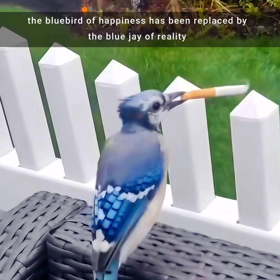 b1uejay0 avatar