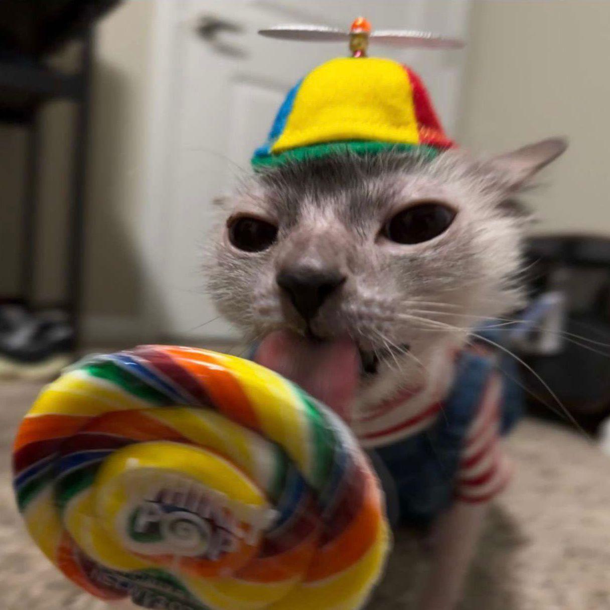 Admiral100 avatar