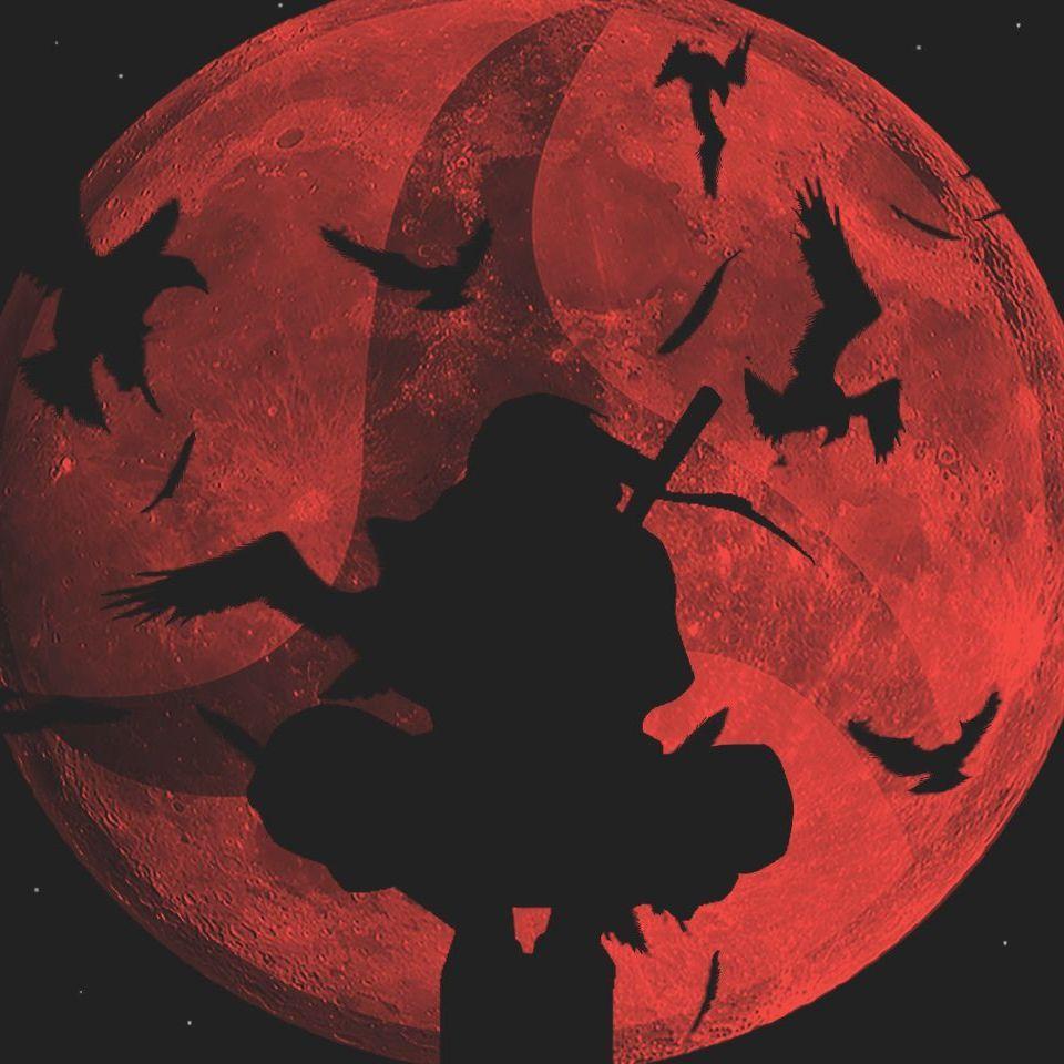 _XZL avatar