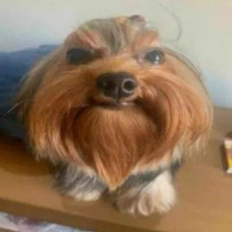 Swoot7