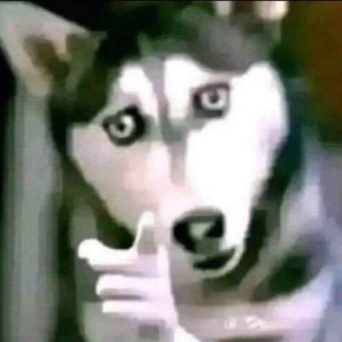 kaizoOr
