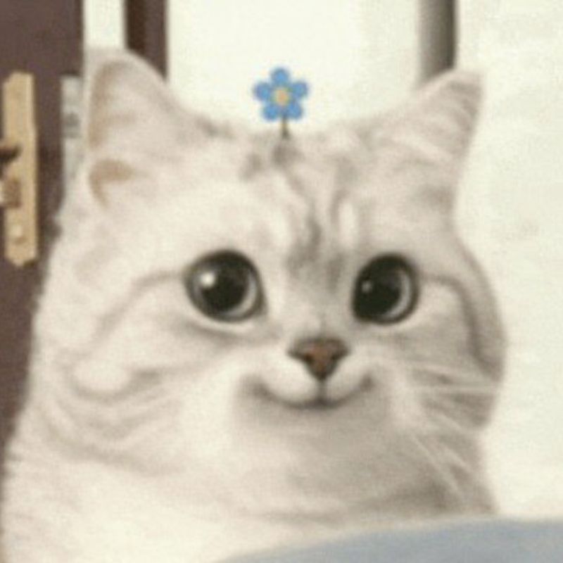 jdbx