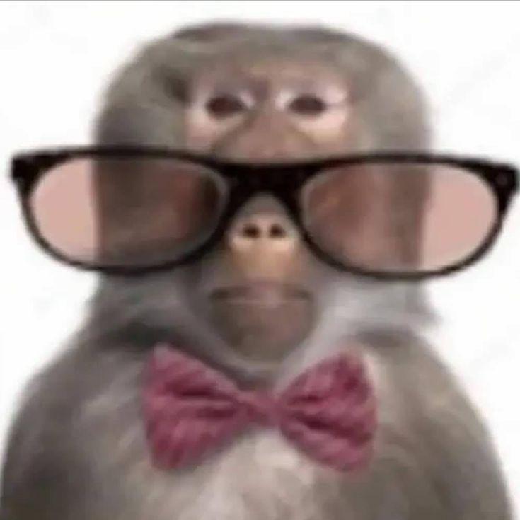 makakins1 avatar
