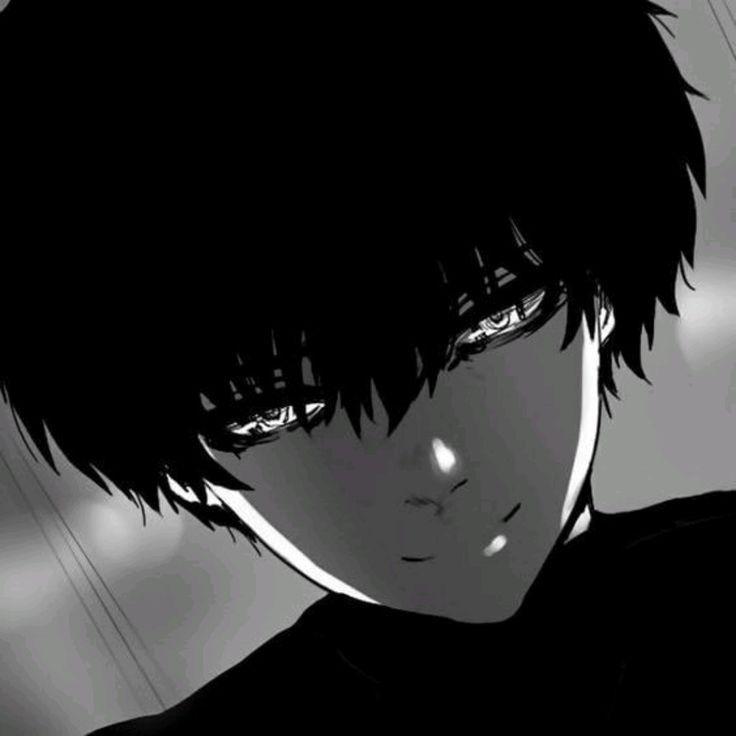 tTRAGDINE avatar