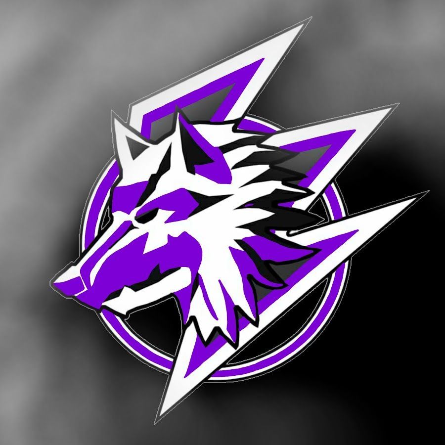 team_FlyNex_O_0