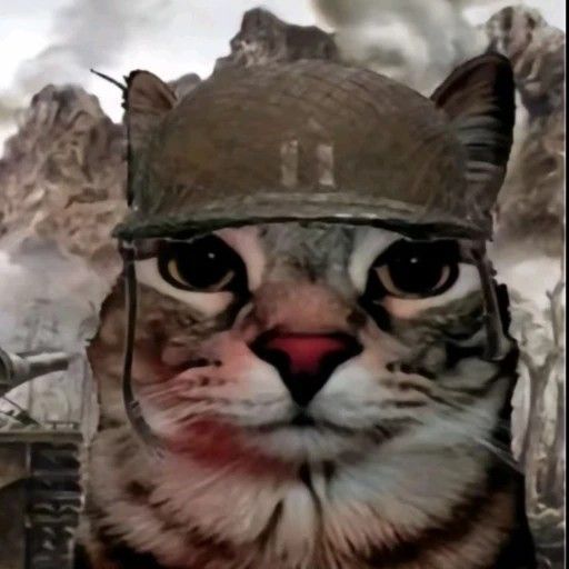 Faceit Avatar