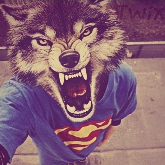 fajek2 avatar